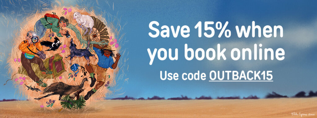 Page Banner as seen on TransWA's websites